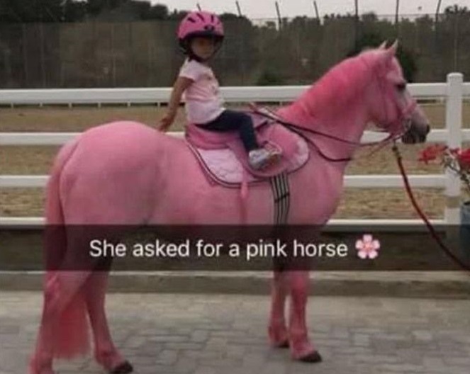 She Asked For A Pink Horse